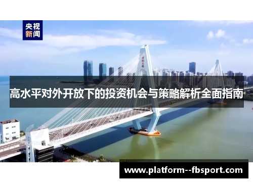 高水平对外开放下的投资机会与策略解析全面指南