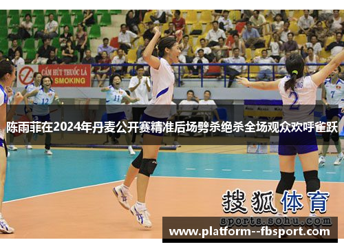 陈雨菲在2024年丹麦公开赛精准后场劈杀绝杀全场观众欢呼雀跃