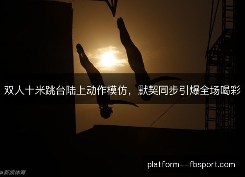 双人十米跳台陆上动作模仿,默契同步引爆全场喝彩 双人十米跳台陆上动作模仿,默契同步引爆全场喝彩