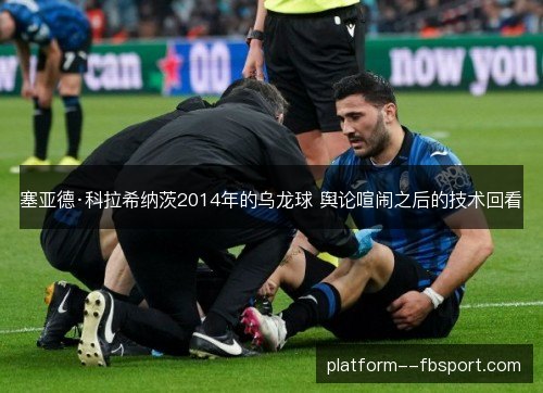 塞亚德·科拉希纳茨2014年的乌龙球 舆论喧闹之后的技术回看
